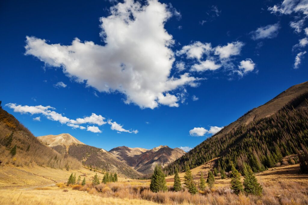 Autumn in Colorado