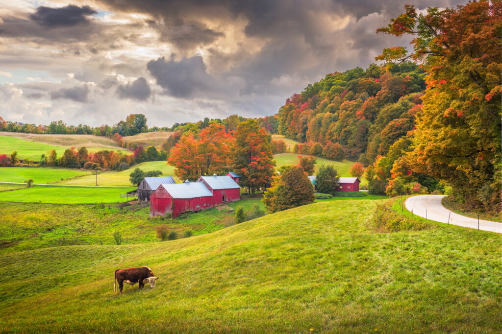 Moving To Vermont