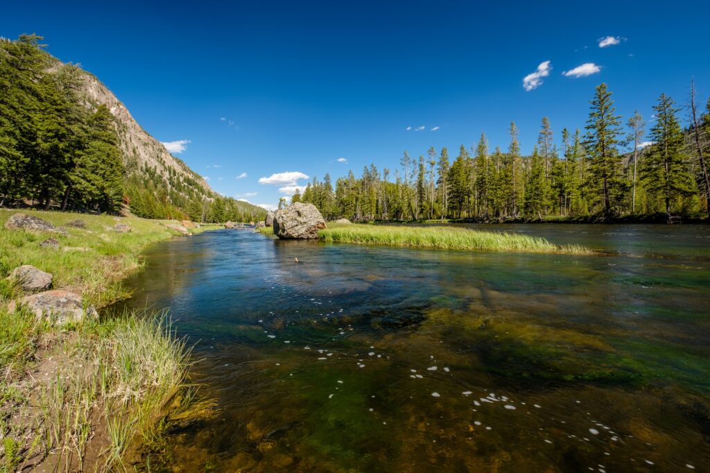 Moving To Wyoming