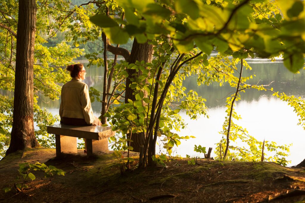 Mature woman sitting on lakeside seat in forest, Brattleboro, Vermont, USA