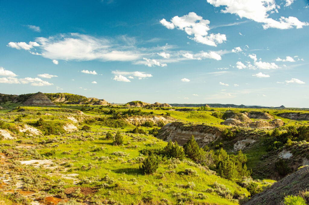 Scenic view of bright lush green vegetation of Teddy Roosevelt National Park in North Dakota