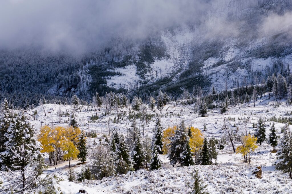 Moving To Wyoming